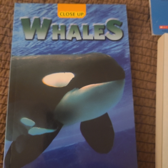 Young Adult Books - Picture 5 of 6